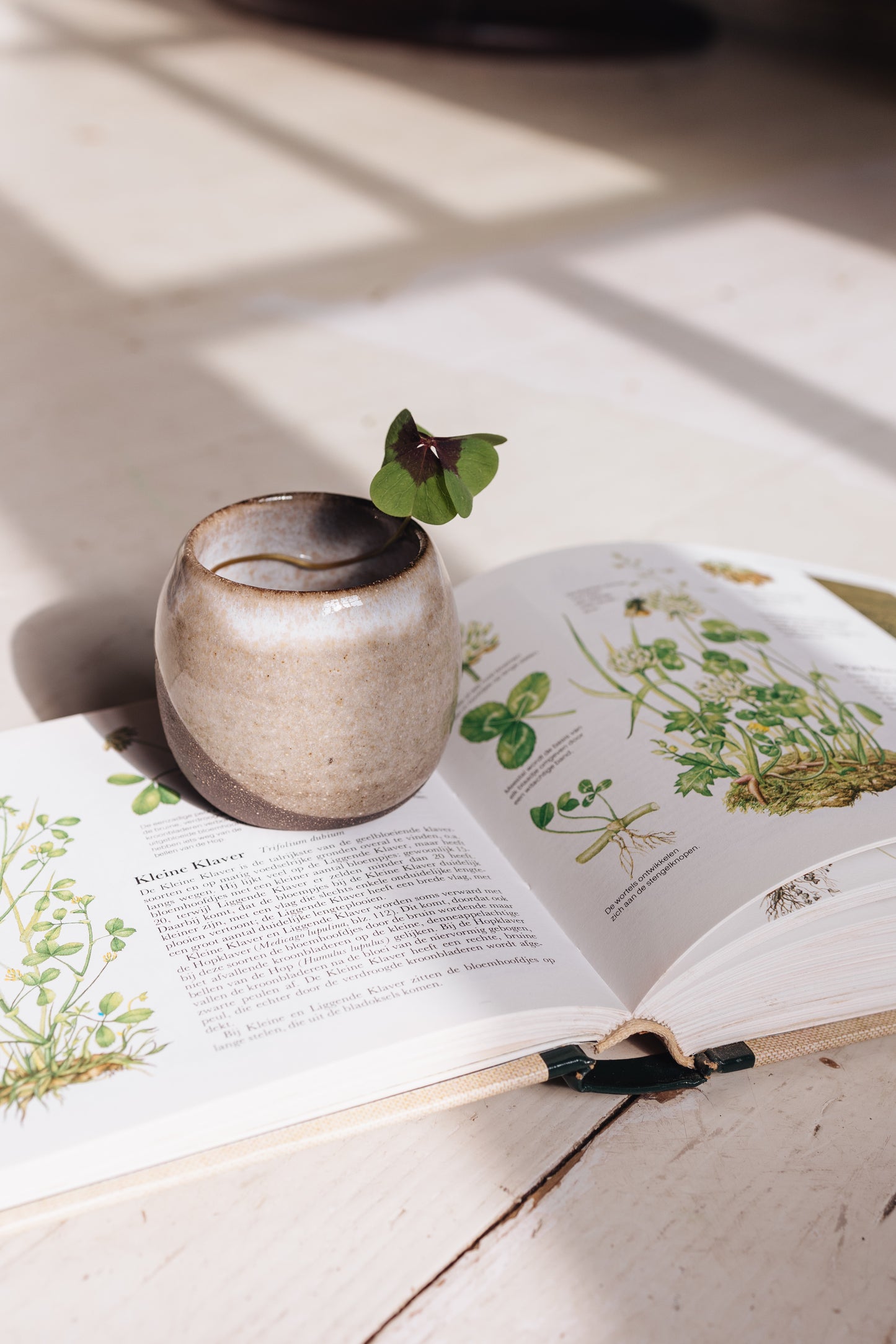 Keikai espresso cup with no handle, Merenok ceramics