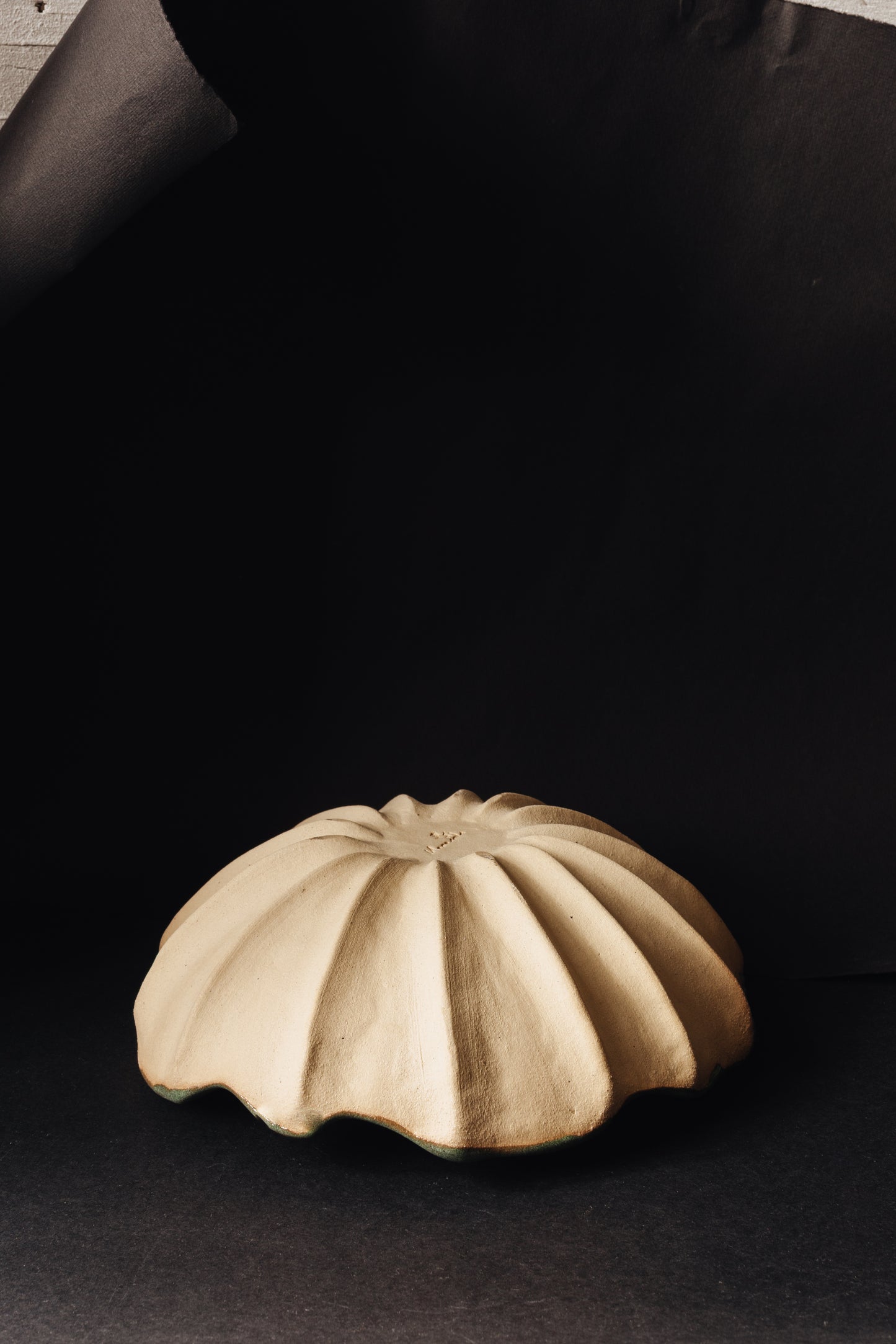 Argonauta green glaze bowl /  Merenok ceramics, handmade