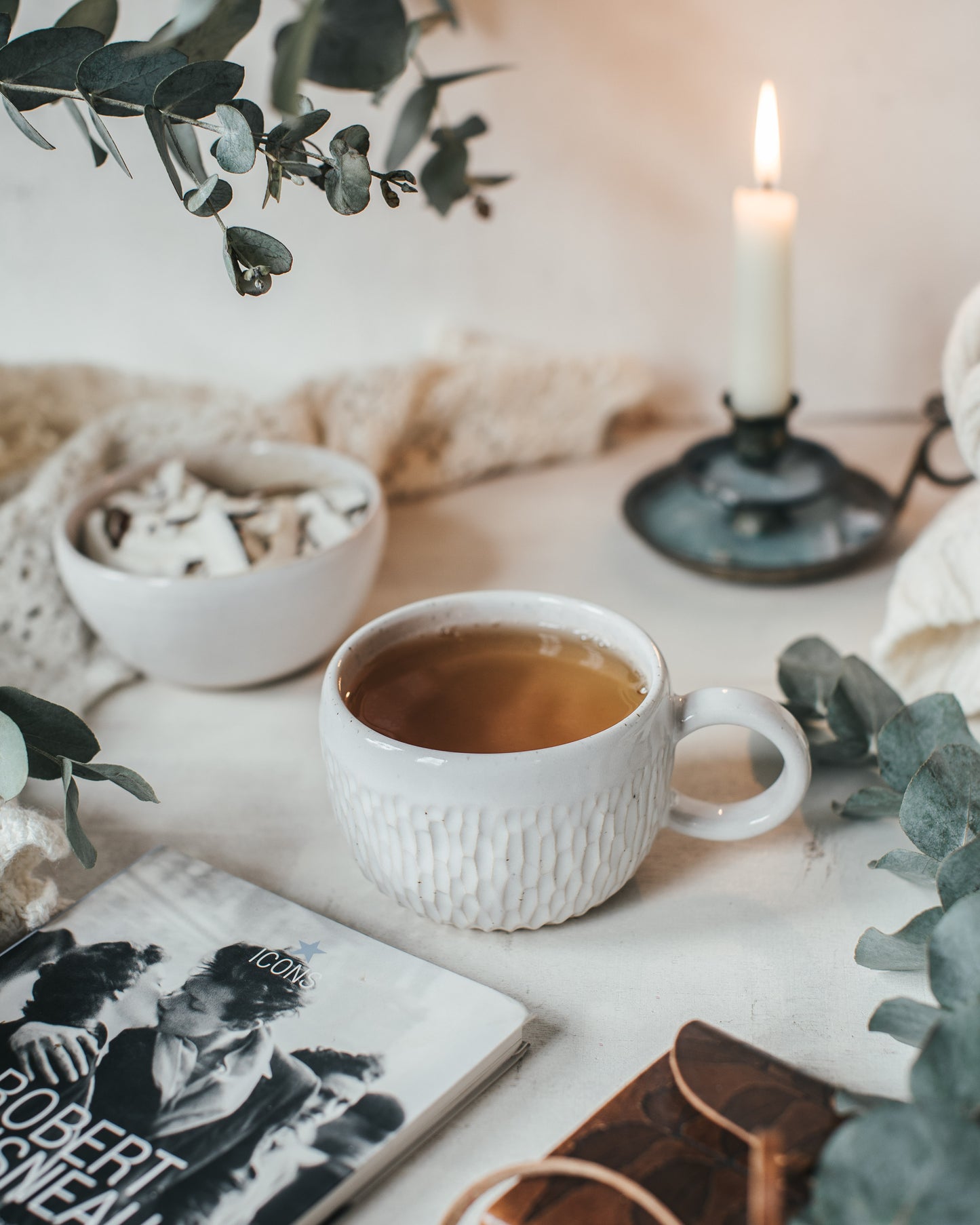 Acorn cup glossy textured