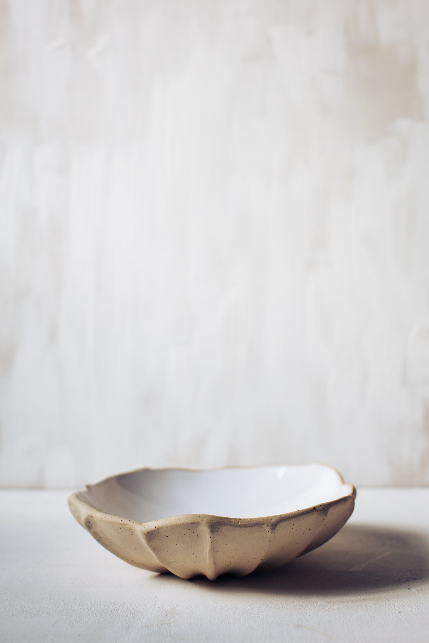 Argonauta  white glaze bowl /  Merenok ceramics, handmade