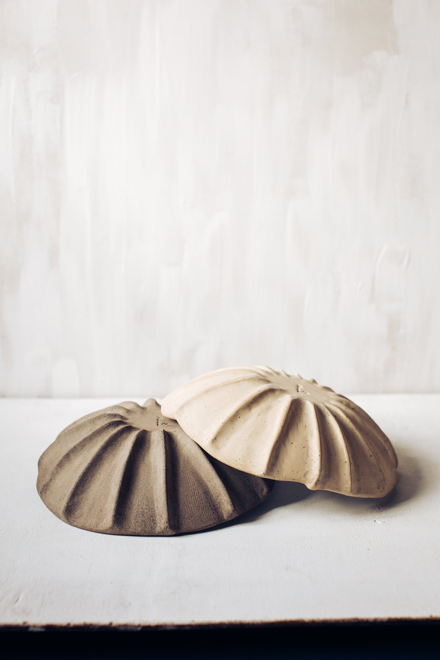 Argonauta  white glaze bowl /  Merenok ceramics, handmade