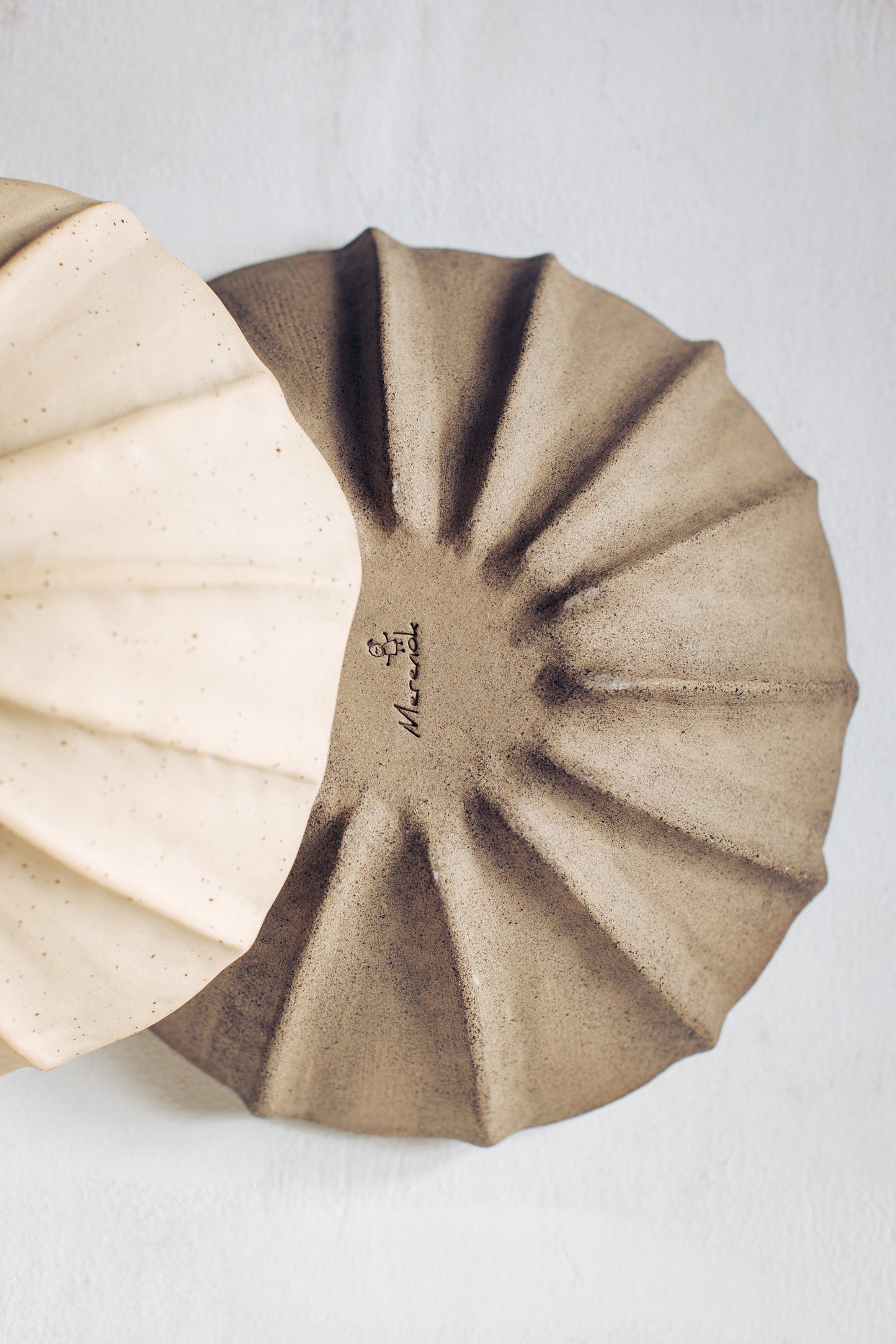 Argonauta  white glaze bowl /  Merenok ceramics, handmade