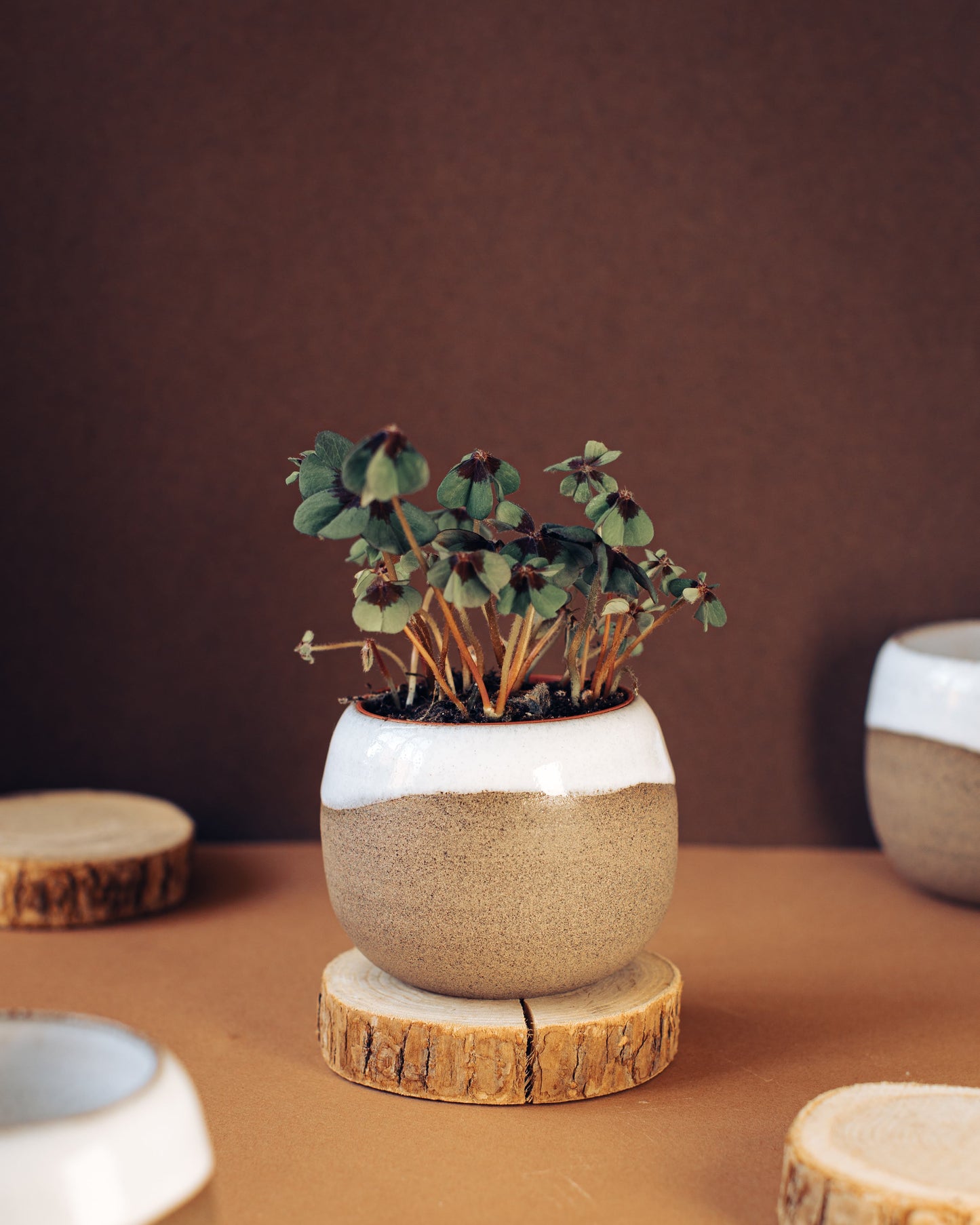 Ishi coffee cup with no handle, Merenok ceramics