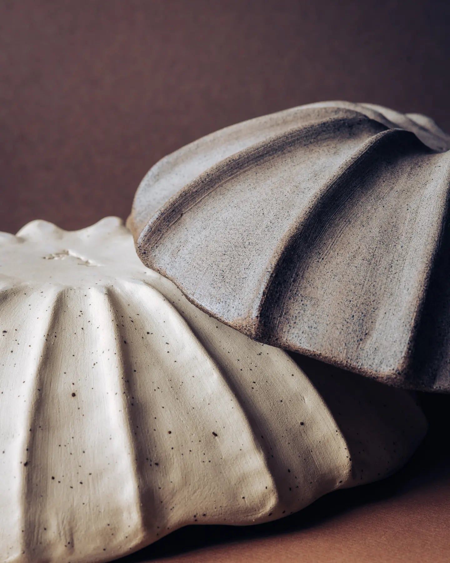 Argonauta  white glaze bowl /  Merenok ceramics, handmade