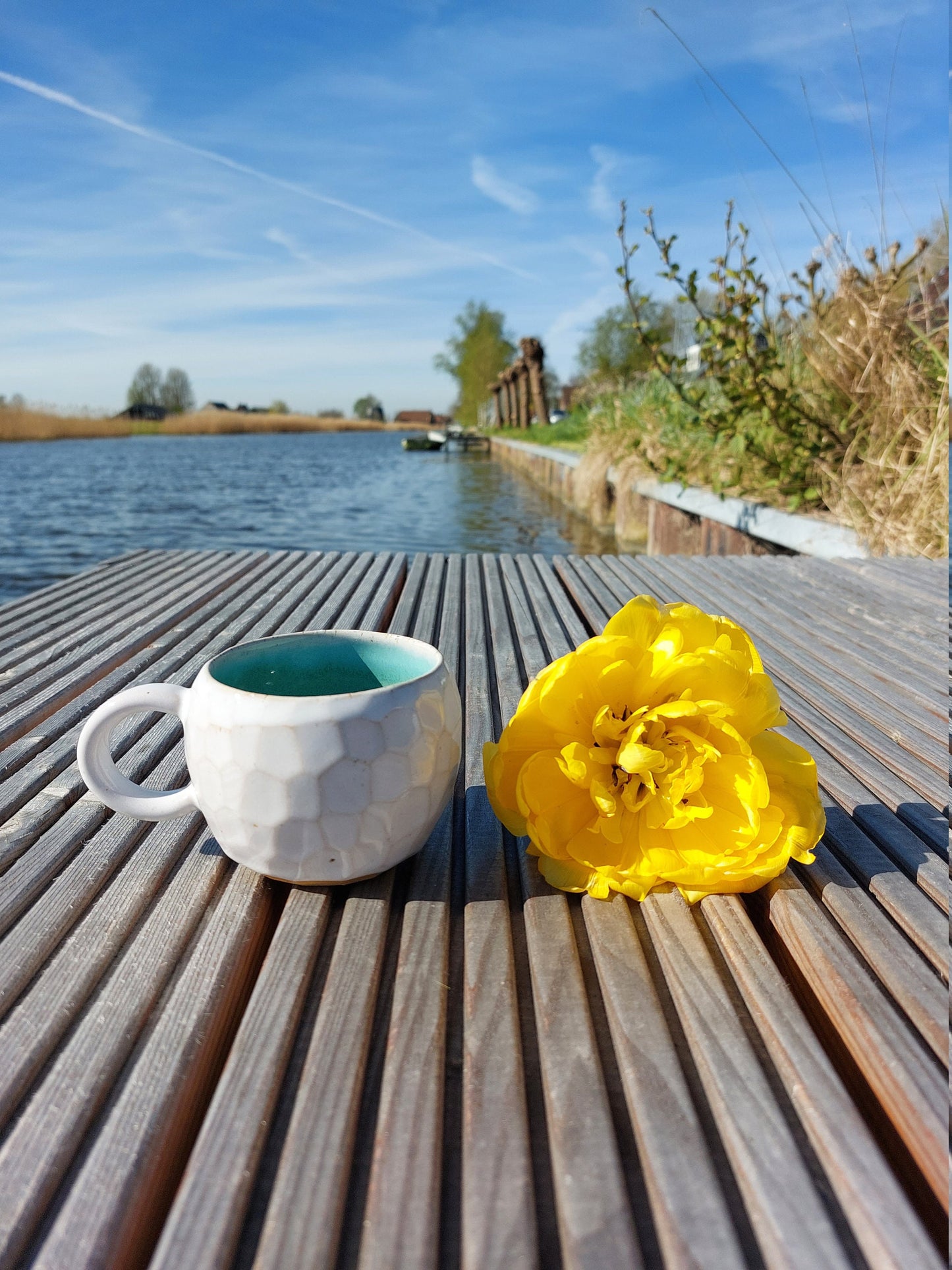 dragon egg cup, green inside